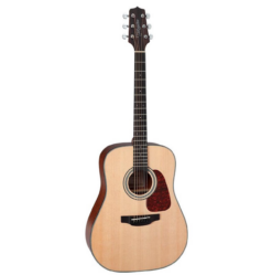 Takamine GD10-NS