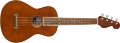 Fender Avalon NAT