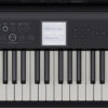 Roland FP-E50