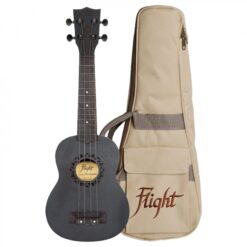 Flight NUS-310