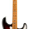 Fender Limited Edition Player Stratocaster