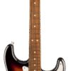 Anniversary Player Stratocaster PF 2TS