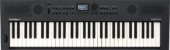 Roland Go:Keys 5 Graphite taustiņinstruments