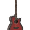 Applause E-Acoustic Guitar Jump