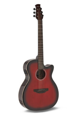 Applause E-Acoustic Guitar Jump
